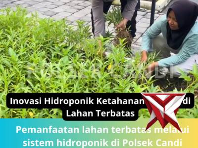 INOVASI PANEN HIDROPONIK - PoliceTube