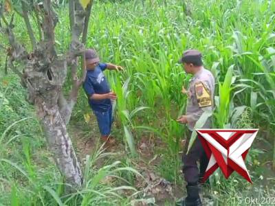 Implementasi asta cita polri penggerak ketahanan pangan