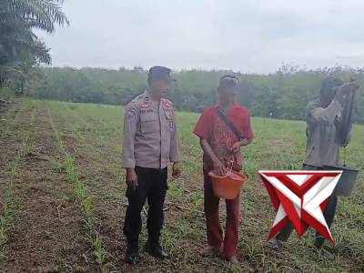 Pengecekan ketahanan pangan di wilkum polsek BP peliung