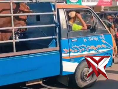 Pengamanan Pasar Hewan Jetis