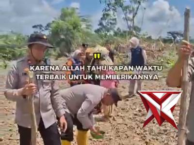 Program ketahanan pangan penanaman jagung