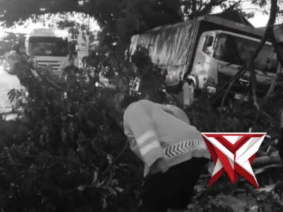 Respon cepat Polsek Geneng melaksanakan evakuasi pohon tumbang