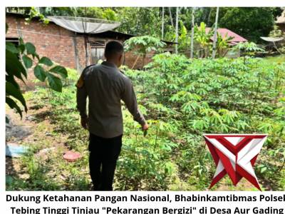 Dukung Ketahanan Pangan Nasional, Bhabinkamtibmas Polsek Tebing Tinggi Tinjau "Pekarangan Bergizi"