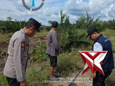 Cek lahan Tanam jagung KW 2 polres Muba ..??
