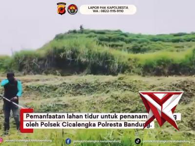 Polsek Cicalengka melaksanakan kegiatan penanaman jagung di wilayah hukumnya