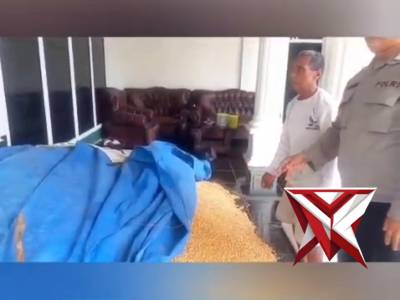 "Sinergi Polri dan Petani: Polsek STL Ulu Terawas Dampingi Penjualan Jagung ke BULOG" - PoliceTube