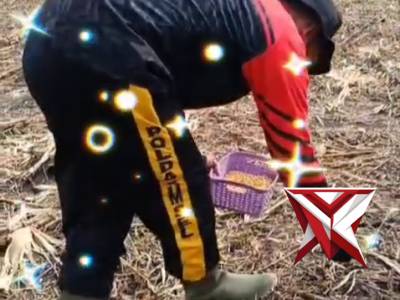 Bertani Membawa Berkah dan Kesehatan