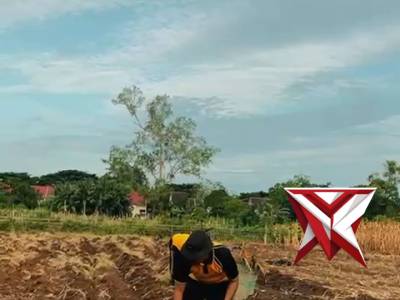 Pembersihan lahan ketahanan pangan polres MBD - PoliceTube