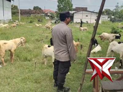 POLSEK BALONGPANGGANG: PATROLI PASAR HEWAN