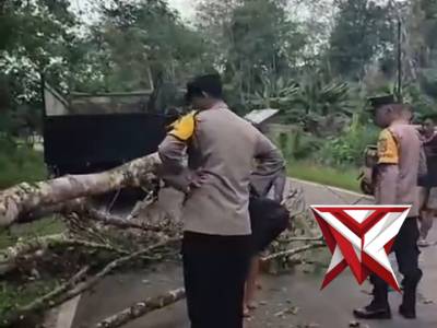 ?Gerak Cepat Polsek Muara Beliti Polres Musi Rawas Evakuasi Pohon Tumbang di Jalinsum ?Demi keaman - PoliceTube