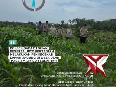 Cek lahan jagung. - PoliceTube