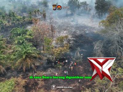 Stop membuka lahan dengan cara membakar