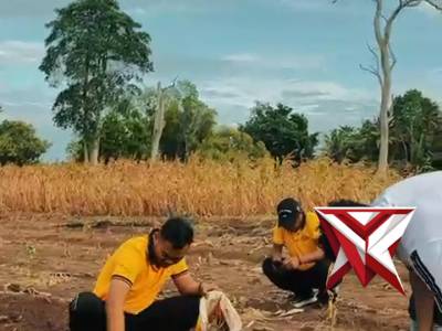 Pembersihan lahan ketahanan pangan Polres Maluku Barat Daya