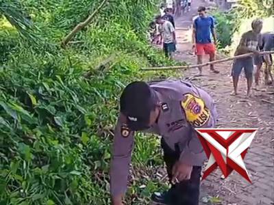 Anggota polsek pasirian melaksanakan kerja bakti di lingkungan warga