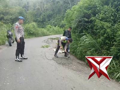 Polsek pulau beringin