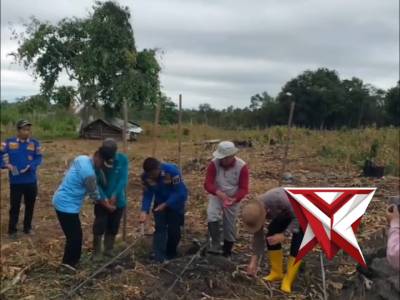 Bangun Ketahanan Pangan dari Desa