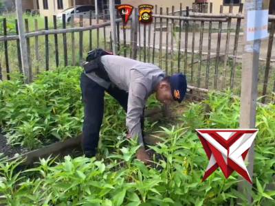 P2L KOMPI 2 YON D POR - PoliceTube