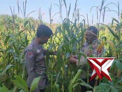 3. Giat Bhabjnmatibmas polsek tungkal jaya