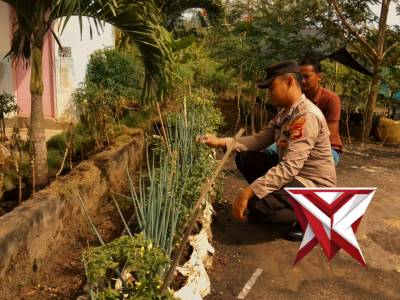 Giat Pengecekan Lahan Pekarangan Bergizi