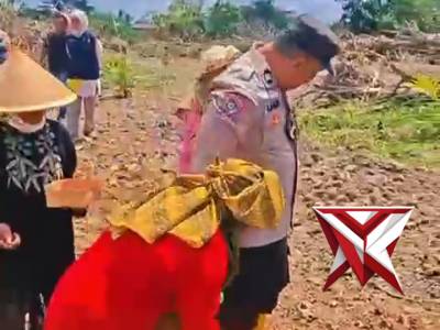 Giat penanaman jagung kw 2