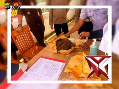 DIREKTORAT RESERSE NARKOBA POLDA PAPUA TENGAH MELAKSANAKAN PEMUSNAHAN BARANG BUKTI NARKOTIKA
