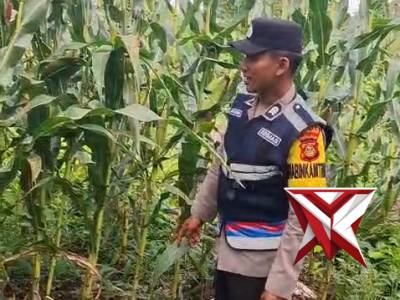 BHABINKAMTIBMAS POLSEK BANDING AGUNG - PoliceTube
