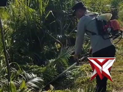PROGAM BELIDA POLDA SUMSEL PERS POLRES MUBA - DLH PEMKAB MUBA MEMBERSIHKAN RUMPUT LIAR DISEKITAR JLN