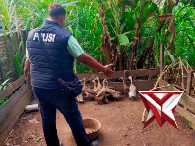 Anggota Polsek Jejawi sambang cek ketahanan pangan ternak bebek petelur milik warga Ds.Muara Batun