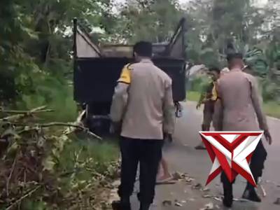 ?Gerak Cepat Polsek Muara Beliti Polres Musi Rawas Evakuasi Pohon Tumbang di Jalinsum