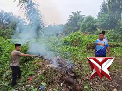 Giat pembersihan SM6