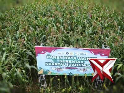 Panen Raya Jagung Polres Sukabumi - PoliceTube