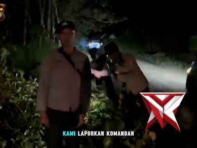 TERJADI POHON TUMBANG - PoliceTube