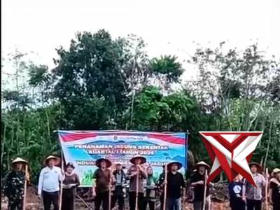 Penanaman Jagung KWARTAL 2 Tahun 2026 Polsek Lais_ P.sky