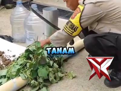 Pemanfa'atan Limbah Sampah Organik sebagai Media Tanam - PoliceTube