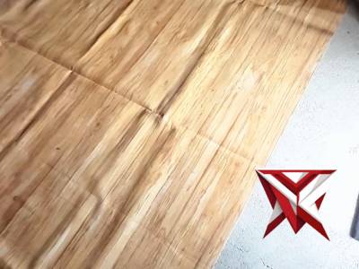 Polsek Mesuji Makmur