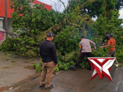 Polisi Gerak Cepat Tangani Pohon Tumbang di Jl. Kapten Tandean, Arus Lalu Lintas Kembali Normal