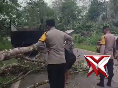 Respon cepat Polsek muara beliti membersihkan pohon tumbang dijalinsum sumatera Desa Rantau Bingin