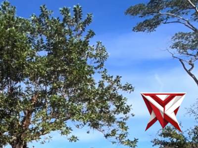 Bhabinkamtibmas Kelurahan Padang Serai Polsek Kampung Melayu Polresta Bengkulu Aipda Veny Asyuarga K