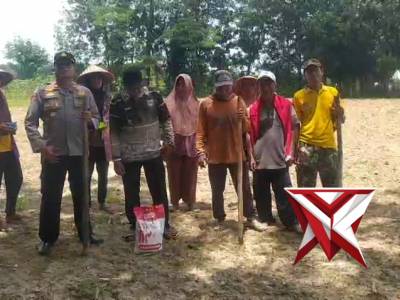 POLSEK BMT MELAKSANAKAN GIAT TANAM JAGUNG