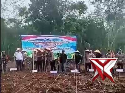 Polsek Lais melaksanakan giat penanaman jagung ???????