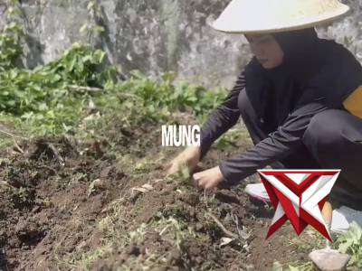 Pemanfaatan Lahan Tidur ,Lahan di sekitar Polsek Tumpang diubah menjadi lahan produktif