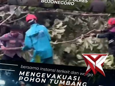 Polsek Ngraho Bersama Warga Evakuasi Pohon Tumbang dan Material Bangunan
