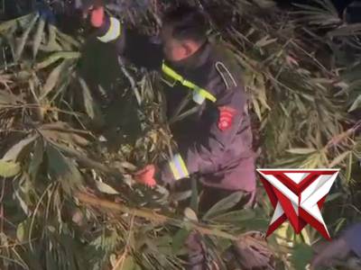 Giat anggota polres Mura, membersihkan pohon tumbang d jalan..C6