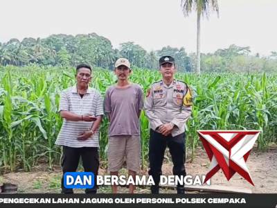 Giat pengecekan lahan jagung Polsek Cempaka