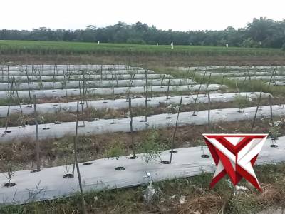 Polsek megang sakti polres musi rawas