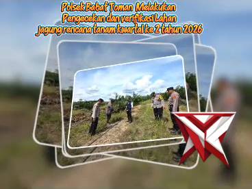 Penanaman jagung kuartal ke 2 Polres Muba. IK4