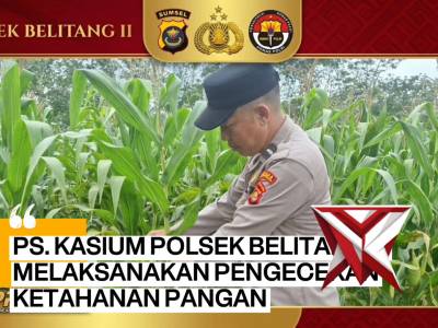 Anggota polsek belitang 2 melakukan pengecekan lahan ketahanan pangan - PoliceTube