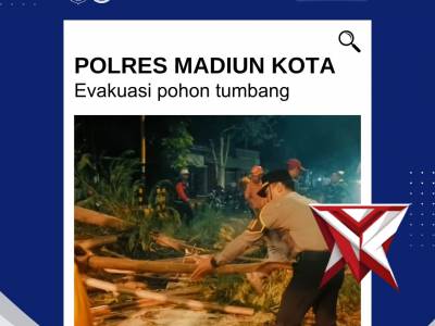 Respon cepat Pamapta Polres Madiun Kota dalam menangani kejadian pohon tumbang di Jl. Imam Bonjol.