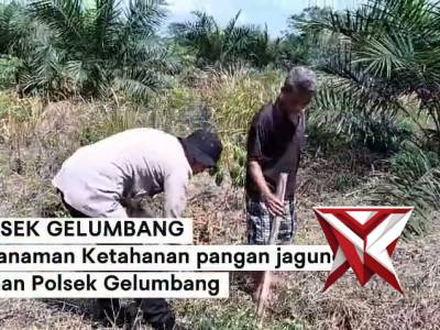 POLSEK GELUMBANG POLRES MUARA ENIM - PoliceTube