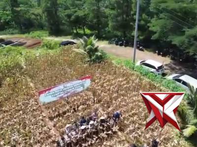 Polres Ciamis Dukung Ketahanan Pangan Nasional, Pimpin Panen Raya Jagung Serentak Kuartal I 2026 di - PoliceTube